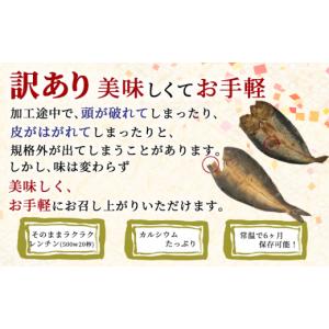 ふるさと納税 干物 アジ 静岡県 沼津市 訳ア...の詳細画像2