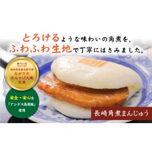 ふるさと納税 惣菜・レトルト 冷凍 長崎県 西...の詳細画像2