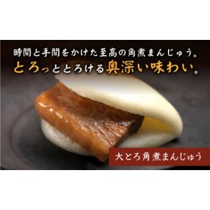 ふるさと納税 惣菜・レトルト 冷凍 長崎県 西...の詳細画像3
