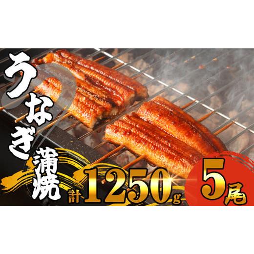 ふるさと納税 福岡県 須恵町 ふっくら肉厚 有頭 うなぎ蒲焼 5尾 1250g SF011-2　〜関...