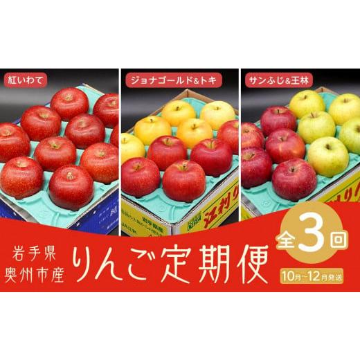 ふるさと納税 岩手県 奥州市 【数量限定】奥州市のりんご定期便・3回（10月〜12月） 江刺りんごや...