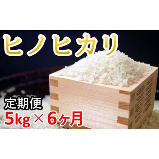 ふるさと納税 宮崎県 西都市 【6ヶ月定期便】ヒノヒカリ５kg 伊東マンショ米 合計30kg 米定期...