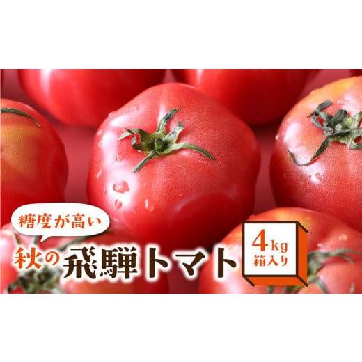 ふるさと納税 野菜類 トマト 岐阜県 高山市  9月頃〜順次発送 秋の濃い味 飛騨トマト 4kg |...