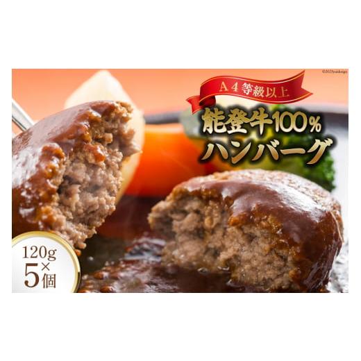 ふるさと納税 肉 ハンバーグ 石川県 志賀町 てらおか風舎の特選能登牛100%ハンバーグ 120g×...