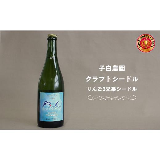 ふるさと納税 ワイン スパークリングワイン 長野県 松川町 WC18　子白農園 りんご３兄弟シードル...