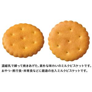 ふるさと納税 防災グッズ 新潟県 長岡市 L0...の詳細画像2