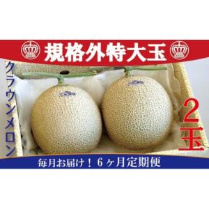 ふるさと納税 メロン メロン青肉 静岡県 浜松市 クラウンメロン　規格外特大玉　2玉入 毎月お届け6ヶ月定期便 配送不可：離島 No.5786-4676