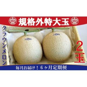 ふるさと納税 メロン メロン青肉 静岡県 浜松...の詳細画像1