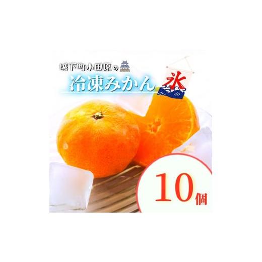 ふるさと納税 神奈川県 小田原市 【令和5年出荷】城下町の冷凍みかん 10個【果物 フルーツ みかん...