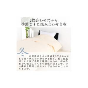 ふるさと納税 タオル・寝具 掛け布団 大阪府 ...の詳細画像4