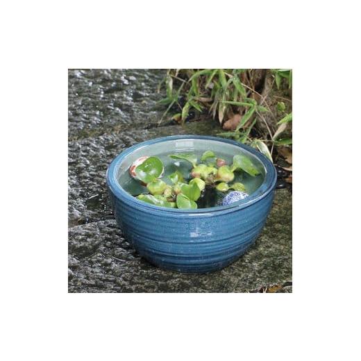 ふるさと納税 雑貨・日用品 滋賀県 甲賀市 信楽焼 10号ナマコ水鉢 睡蓮鉢 メダカ鉢