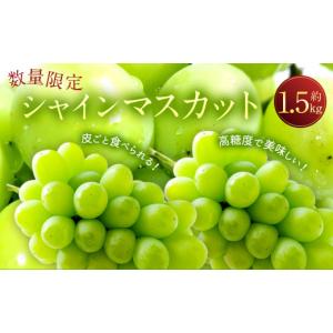 ふるさと納税 ぶどう マスカット 長崎県 時津...の詳細画像1