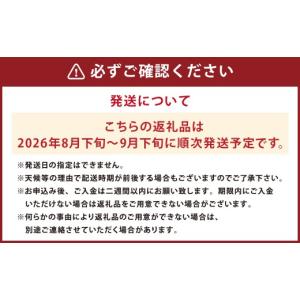 ふるさと納税 ぶどう マスカット 長崎県 時津...の詳細画像2