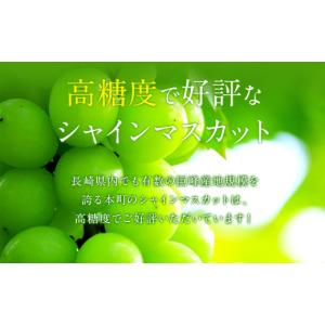 ふるさと納税 ぶどう マスカット 長崎県 時津...の詳細画像3