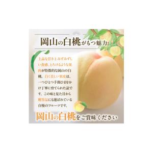 ふるさと納税 ぶどう マスカット 岡山県 備前...の詳細画像3