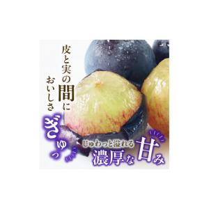 ふるさと納税 ぶどう マスカット 岡山県 備前...の詳細画像4