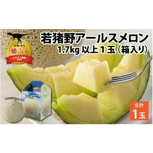 ふるさと納税 メロン メロン青肉 福井県 勝山市  令和8年産 先行予約 　若猪野アールスメロン 1...