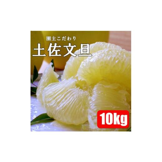 ふるさと納税 高知県 土佐市 園主こだわりの土佐文旦　10kg 2024年1月下旬より順次発送 ぶん...