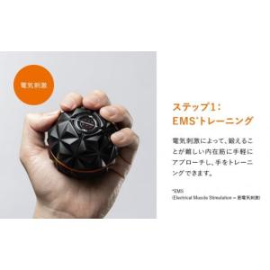 ふるさと納税 美容・健康家電 愛知県 名古屋市...の詳細画像4