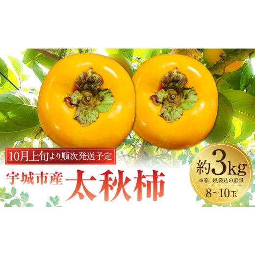 ふるさと納税 熊本県 宇城市 宇城市産太秋柿 約3kg フレッシュダイレクト【10月上旬〜11月上旬...