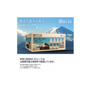ふるさと納税 炭酸飲料 ソーダ水 山梨県 富士...の詳細画像5