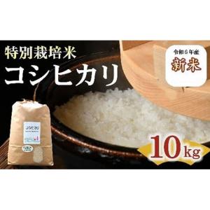 ふるさと納税 三重県 松阪市 コシヒカリ 特別栽培米 10kg 【 新米予約 9月以降発送 】 （ 米 お米 こめ コメ おこめ 白米 精米 こしひかり コシヒカリ 特別栽…｜ふるさとチョイス