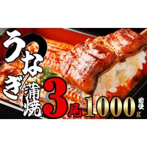 ふるさと納税 うなぎ 福岡県 須恵町 ふっくらジューシー 有頭 うなぎ蒲焼 3尾 合計1000g前後 SF012-2 〜 冷凍 鰻 特大 小分け ウナギ 蒲焼 蒲焼き 大人気 タレ…