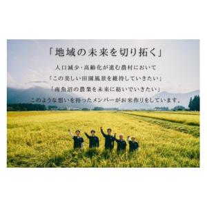 ふるさと納税 米 コシヒカリ 新潟県 南魚沼市...の詳細画像4