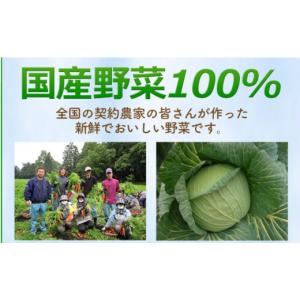 ふるさと納税 麺類 佐賀県 吉野ヶ里町 全12...の詳細画像4