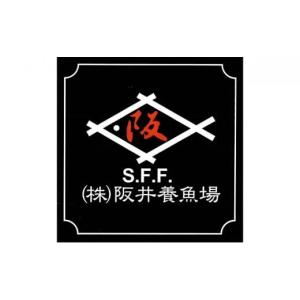 ふるさと納税 生き物 広島県 三原市 阪井養魚...の詳細画像3