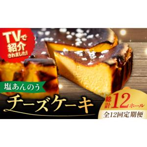 ふるさと納税 ケーキ・カステラ チーズケーキ 長崎県 新上五島町 全12回定期便 ヒルナンデスで紹介されました 五島列島 チーズケーキ 塩あんのう ケーキ 塩 …