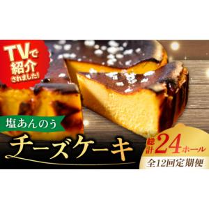 ふるさと納税 ケーキ・カステラ チーズケーキ 長崎県 新上五島町 全12回定期便 ヒルナンデスで紹介されました 五島列島 チーズケーキ 塩あんのう 2個 ケーキ …