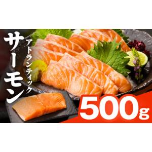ふるさと納税 魚貝類 サーモン 大阪府 泉佐野市 TVで紹介 アトランティックサーモン 500g 刺身用ポーション 小分け 真空パック 訳あり サイズ不揃い 刺身 海…