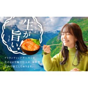 ふるさと納税 魚貝類 サーモン 大阪府 泉佐野...の詳細画像2