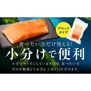 ふるさと納税 魚貝類 サーモン 大阪府 泉佐野...の詳細画像3