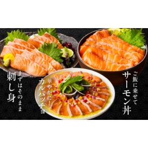 ふるさと納税 魚貝類 サーモン 大阪府 泉佐野...の詳細画像5