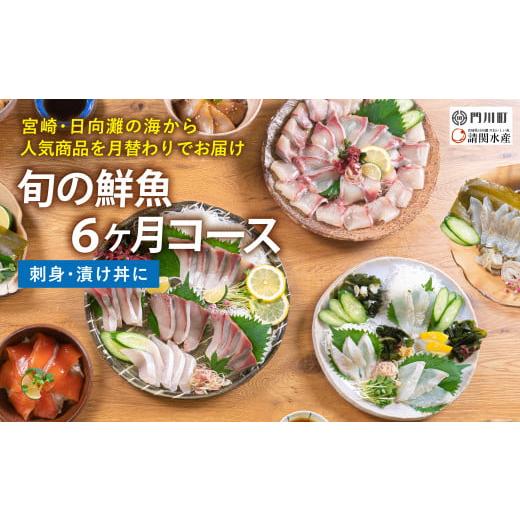 ふるさと納税 旬の鮮魚等 宮崎県 門川町  北海道・離島配送不可 定期便・全6回(連続) 旬の鮮魚(...
