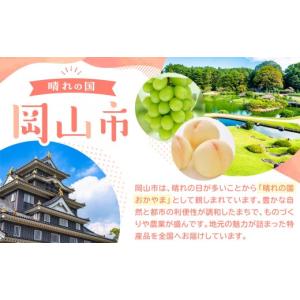 ふるさと納税 缶詰・瓶詰 くだもの 岡山県 岡...の詳細画像5