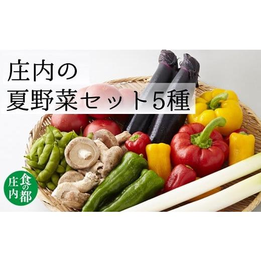 ふるさと納税 山形県 三川町 食の都庄内　庄内の夏野菜セット5種