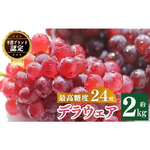 ふるさと納税 奈良県 平群町 平群ブランド デラウェア 2kg （9~13房入り）|フルーツ 果物 ...