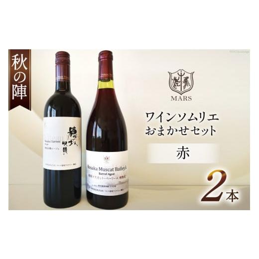 ふるさと納税 ワイン 赤ワイン 山梨県 韮崎市 ワイン 赤 赤ワイン おまかせ マルスワイン 2本 ...