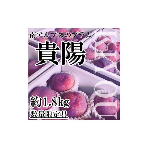 ふるさと納税 果物類 山梨県 南アルプス市  2026年発送分先行予約 山梨県南アルプス市産　高級す...