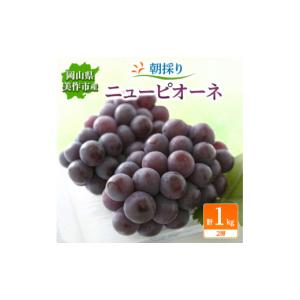 ふるさと納税 ぶどう 岡山県 美作市 朝採りニューピオーネ　1kg(2房) 1142638