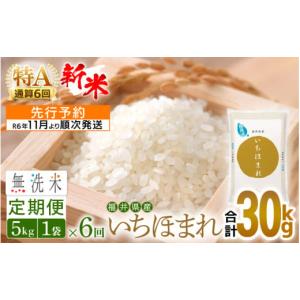 ふるさと納税 福井県 越前町 【新米・先行予約】無洗米 定期便≪6ヶ月連続お届け≫いちほまれ 5kg × 6回（計30kg）特A通算6回！令和6年 福井県産【お米 計30…｜furusatochoice