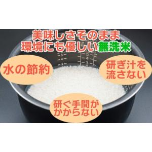 ふるさと納税 米 コシヒカリ 新潟県 南魚沼市...の詳細画像3