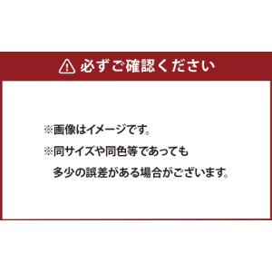 ふるさと納税 服 子ども 高知県 香美市 子ど...の詳細画像4