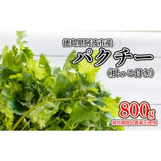 ふるさと納税 徳島県 阿波市 パクチー 根付き 800g 野菜 薬味 香辛料 香菜 香草 香味野菜 ...