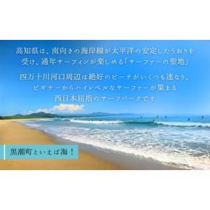 ふるさと納税 スポーツ・アウトドア 高知県 黒...の詳細画像1
