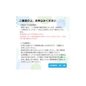 ふるさと納税 雑貨・日用品 愛媛県 西条市 [...の詳細画像4