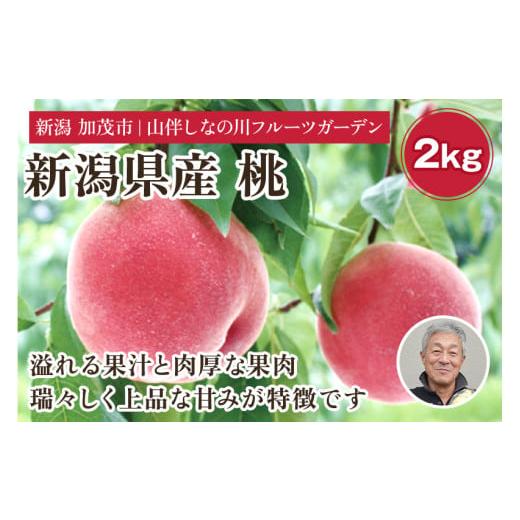 ふるさと納税 新潟県 加茂市 【2024年先行予約】新潟県産 桃 約2kg（約6〜8個）フルーツギフ...